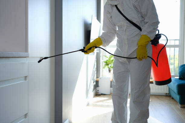 Best Commercial Mold Removal  in Williamsburg, PA